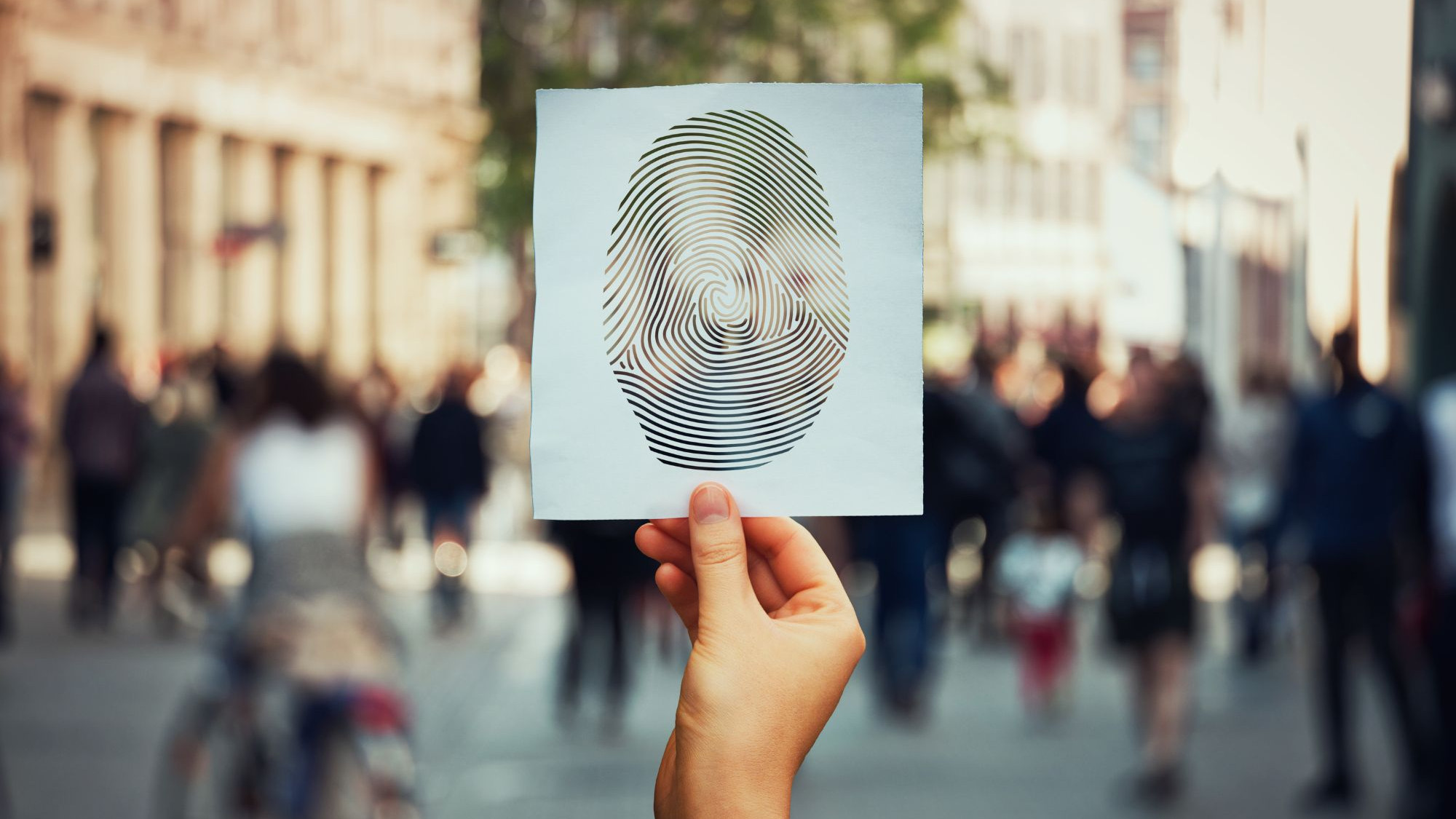 identidad visual